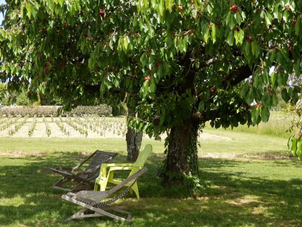 Moulon-sur-Dordogne Chateau La Mothe Du Barry מראה חיצוני תמונה